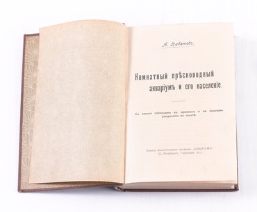 None