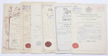 6 свидетельств и аттестатов на лошадей различных конных заводов и обществ Императорской России.