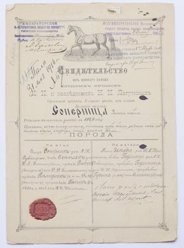 6 свидетельств и аттестатов на лошадей различных конных заводов и обществ Императорской России.