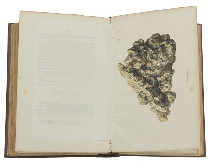 {i.title}
