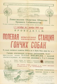 Коллекция афиш собачьих выставок из собрания Николая Павловича Пахомова