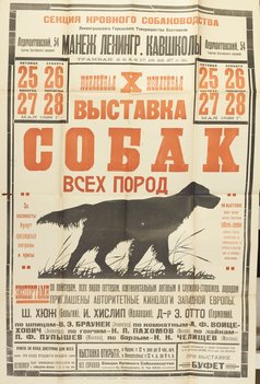 Коллекция афиш собачьих выставок из собрания Николая Павловича Пахомова