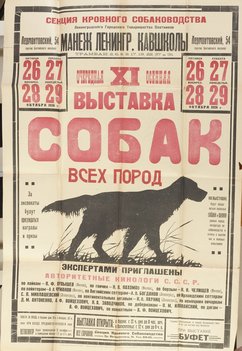 Коллекция афиш собачьих выставок из собрания Николая Павловича Пахомова