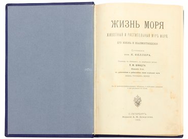 Не указан