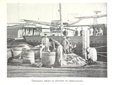 Не указан