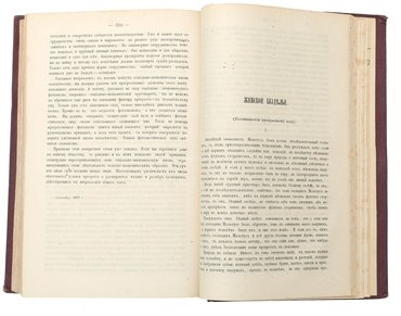 Не указан