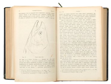 Не указан