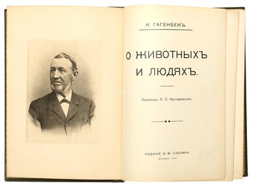 Не указан